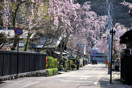 角館の町並み